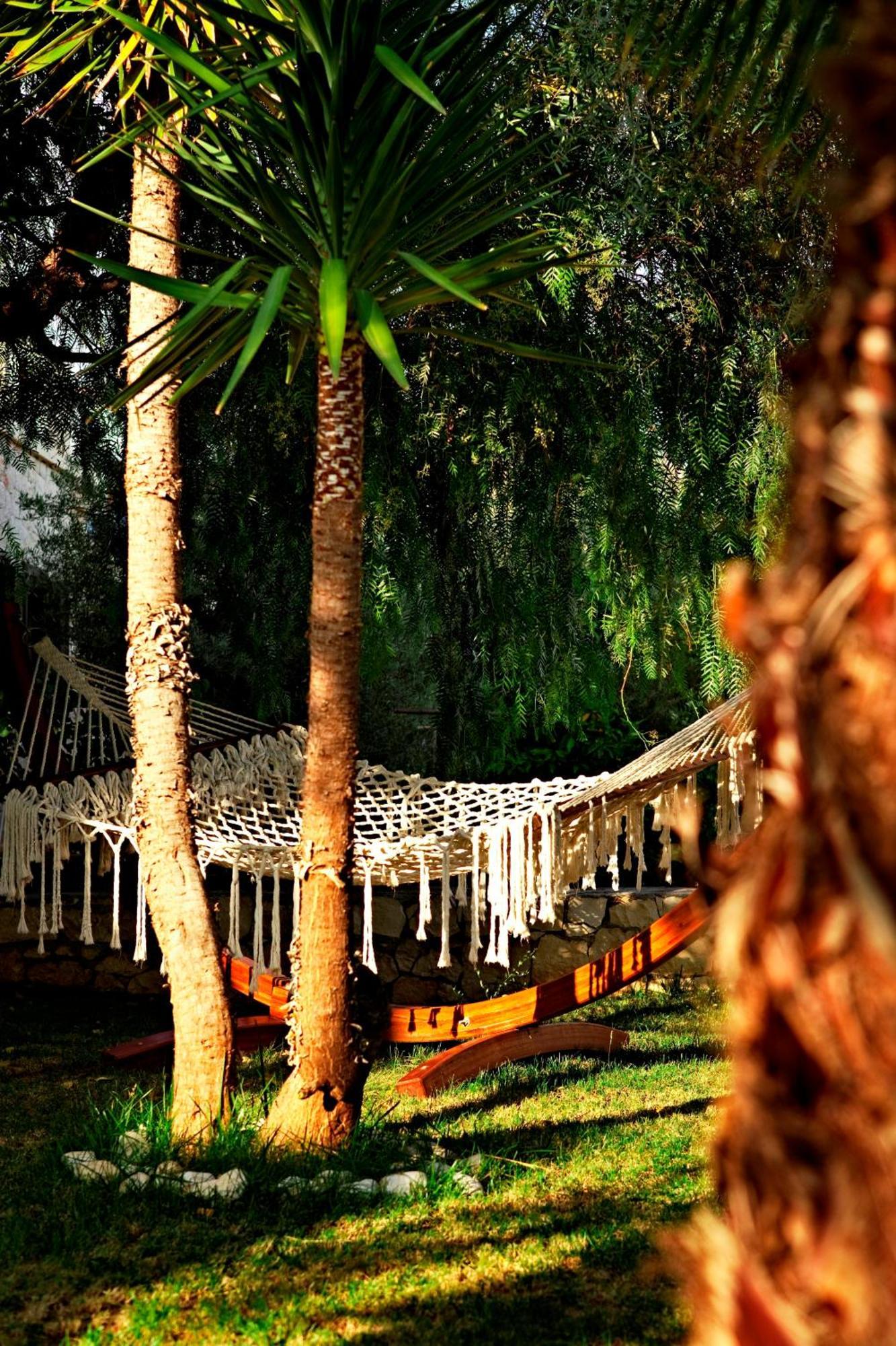 Olea Nova Hotel คาช ภายนอก รูปภาพ